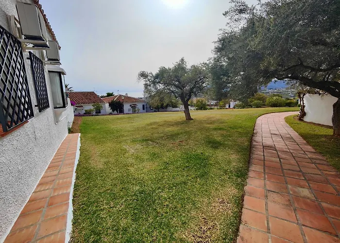 Ap403 - Real فيلة *